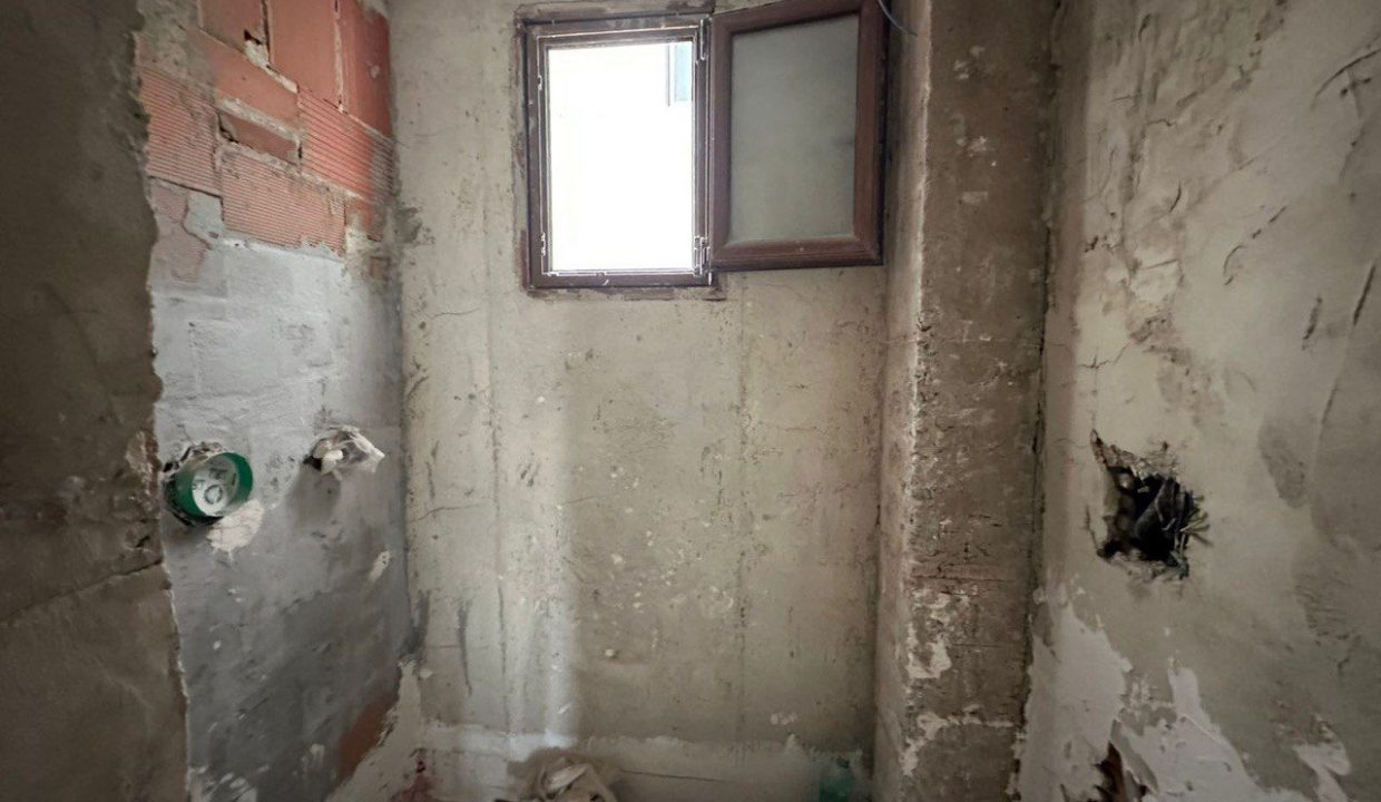 WhatsApp Image 2026-03-04 at 13.36.37 (2)